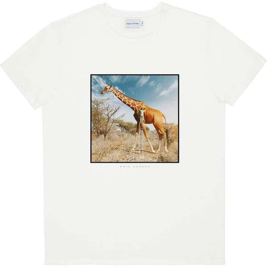 Bask in the Sun T-Shirt T-Shirts Bask in the Sun 